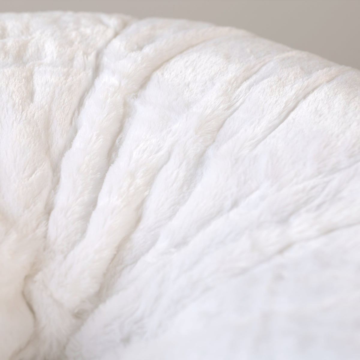 Cloud Plush Fur Bean Bag - White