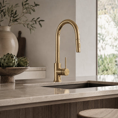 Reno Pull-Out Kitchen Mixer - Polished Gold