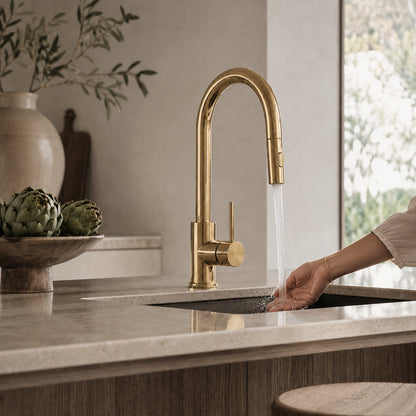 Reno Pull-Out Kitchen Mixer - Polished Gold